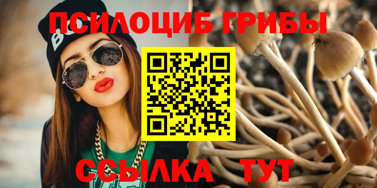 Псилоцибиновые грибы ЛСД Хабаровск